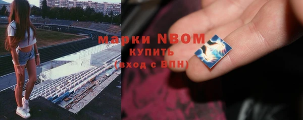 индика Балахна