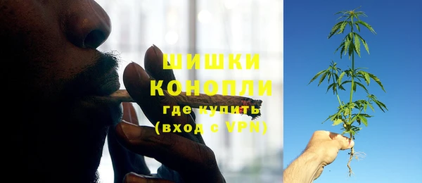 индика Балахна