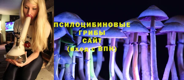 индика Балахна