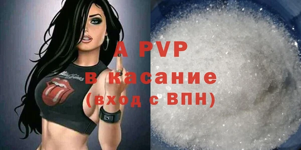 стафф Белокуриха