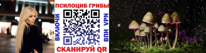 купить наркотик  Козловка  Галлюциногенные грибы GOLDEN TEACHER 