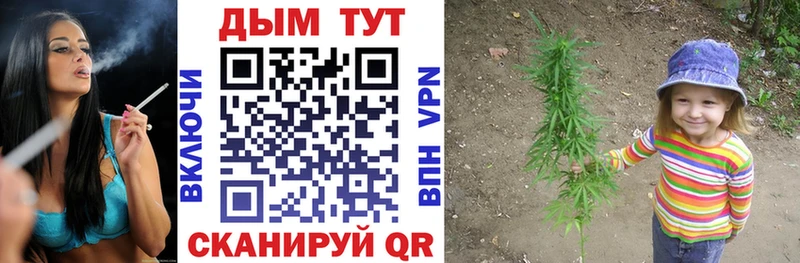 omg как зайти Козловка Шишки марихуана план купить наркотики цена